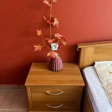 Summer Dreams Appartamento Sunny Beach